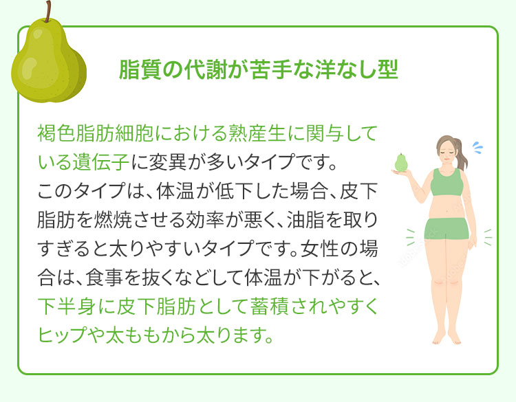 体質説明（洋なし型）説明画像