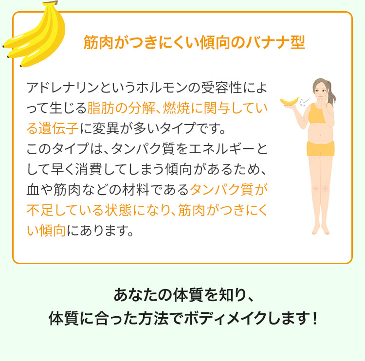体質説明（バナナ型）説明画像